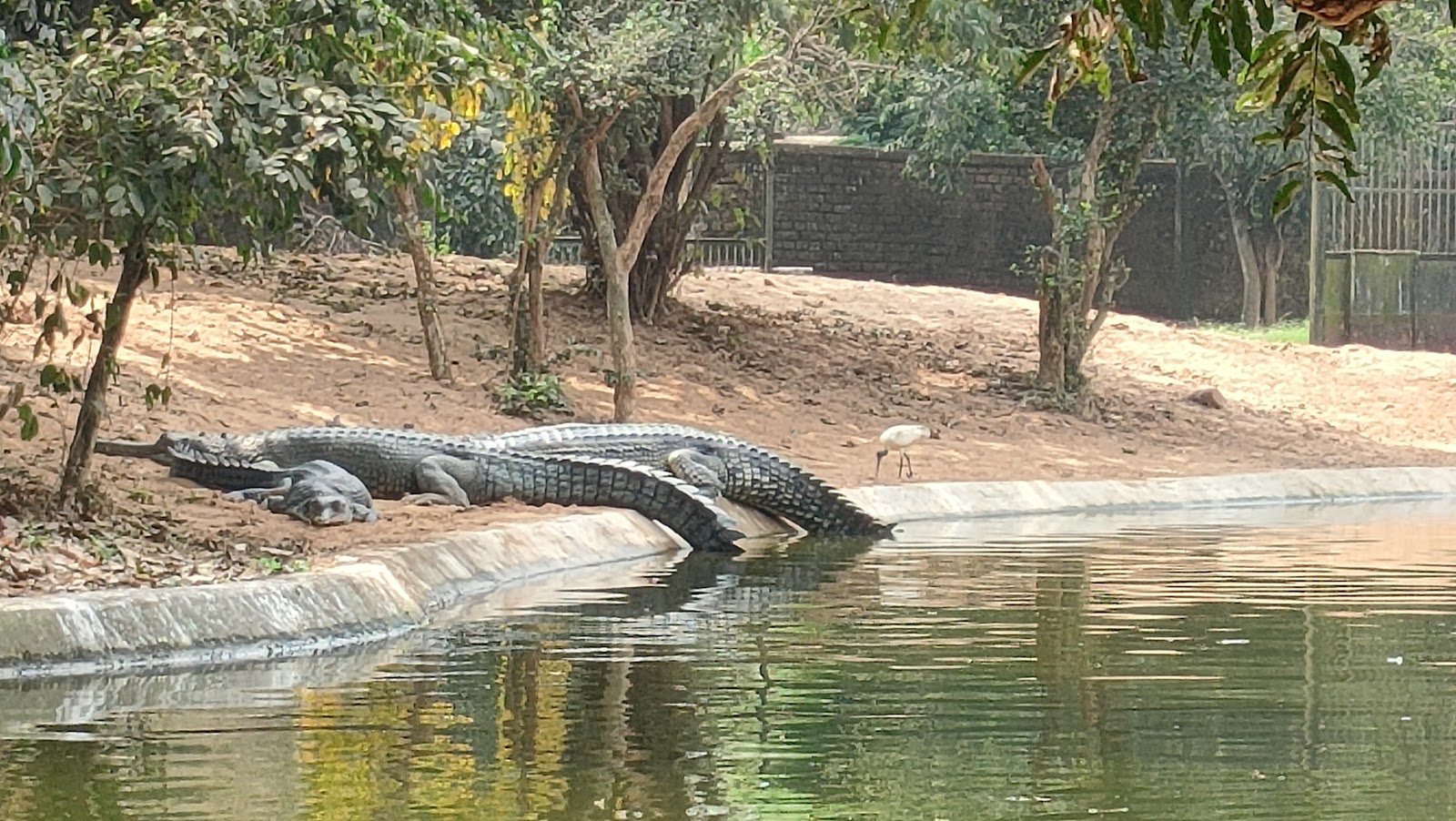 Nandankanan Zoological Park