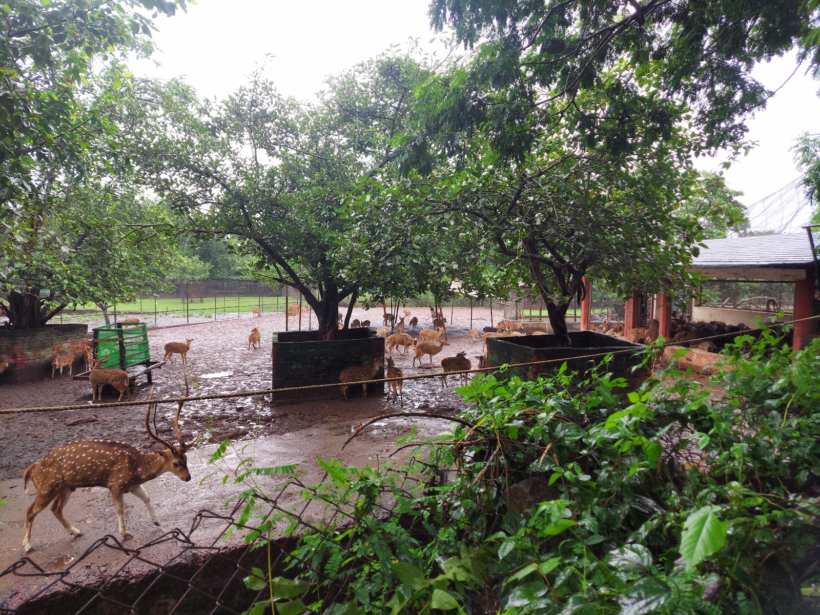 Nandankanan Zoological Park