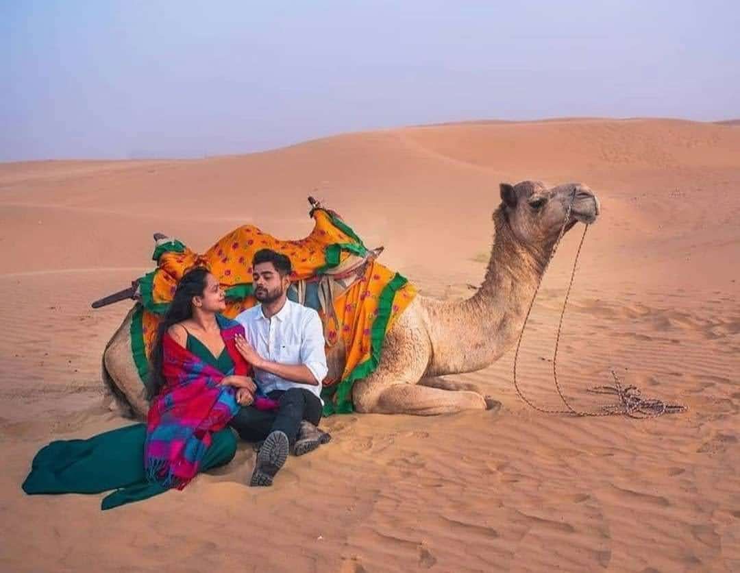 Bird Watching Near the Dunes
