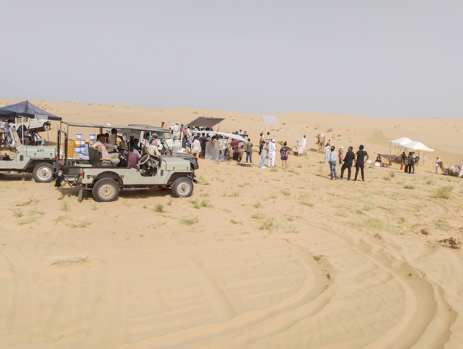 Bird Watching Near the Dunes