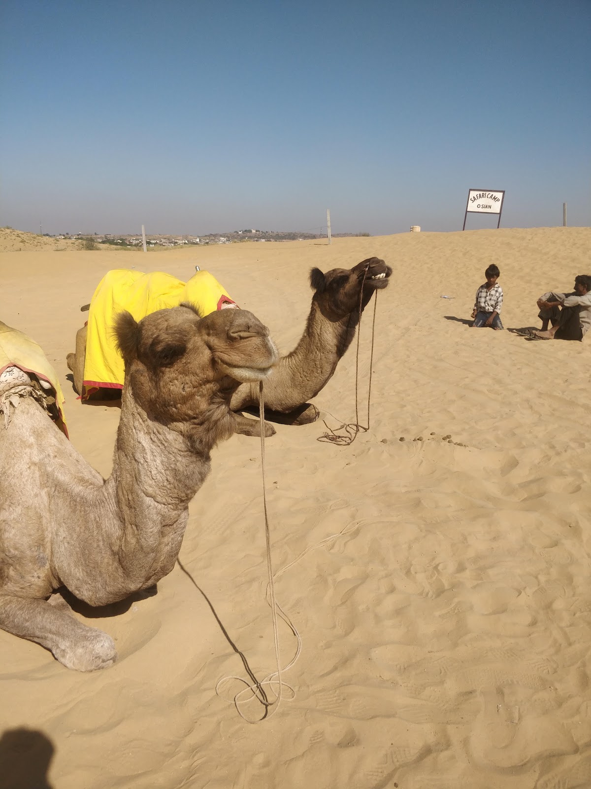 Osian Museum and Archaeological Site