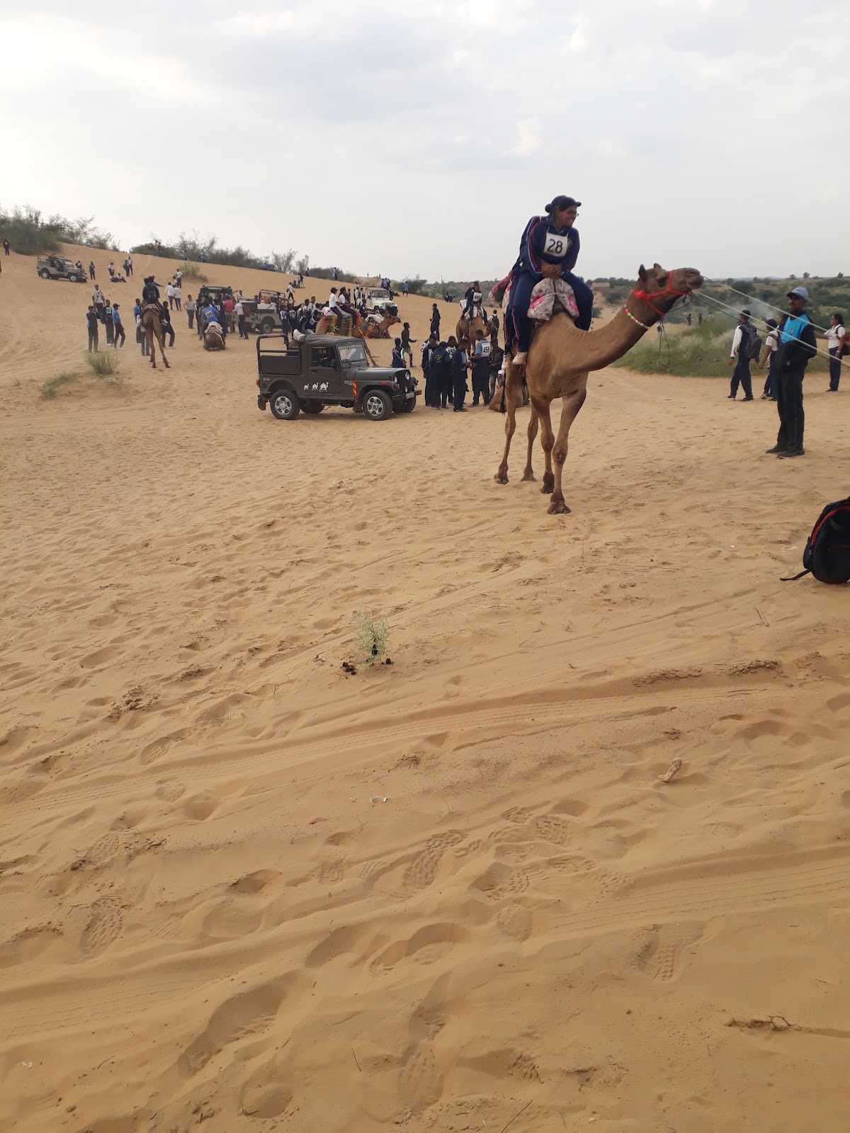 Osian Museum and Archaeological Site
