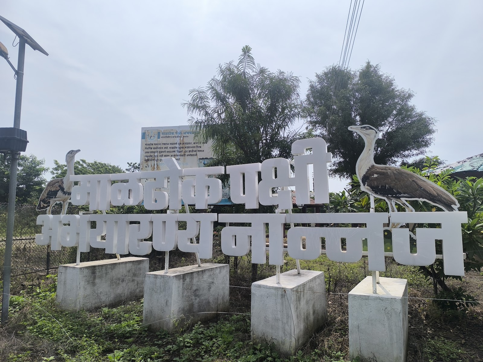 Nannaj Great Indian Bustard Sanctuary