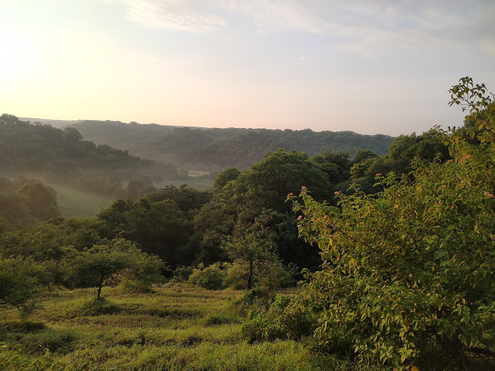 Yedshi Ramling Wildlife Sanctuary