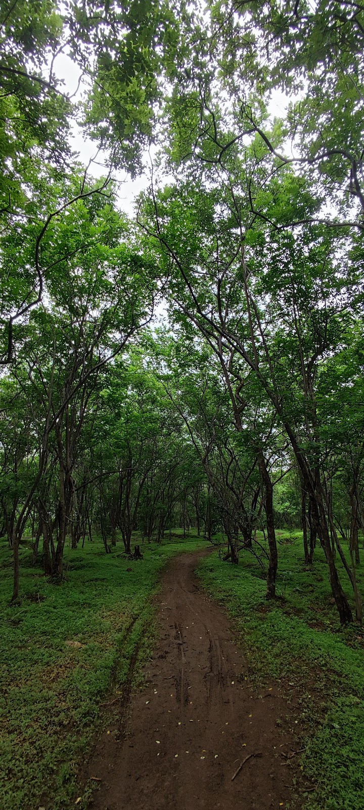 Yedshi Ramling Wildlife Sanctuary