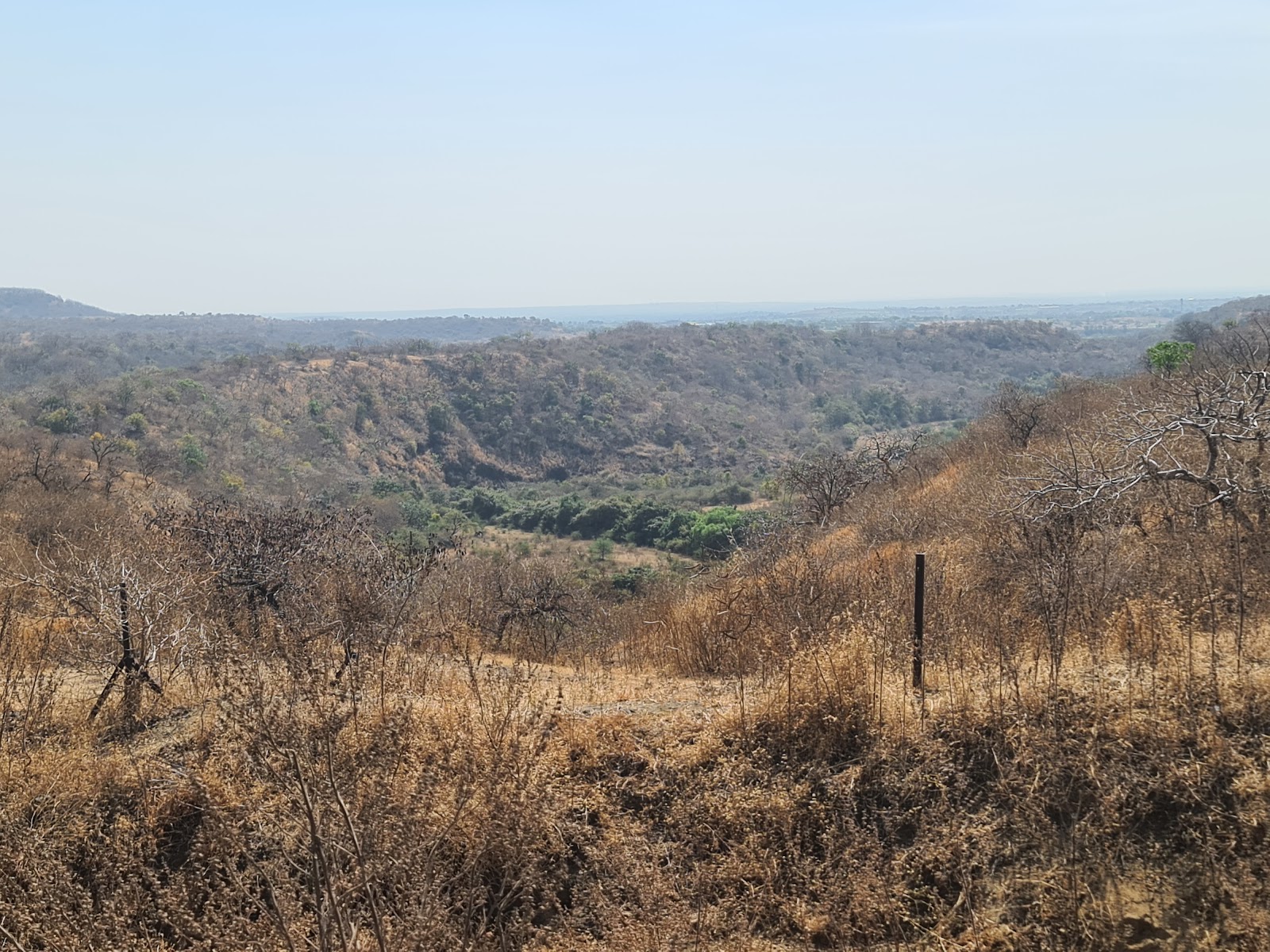 Yedshi Ramling Wildlife Sanctuary