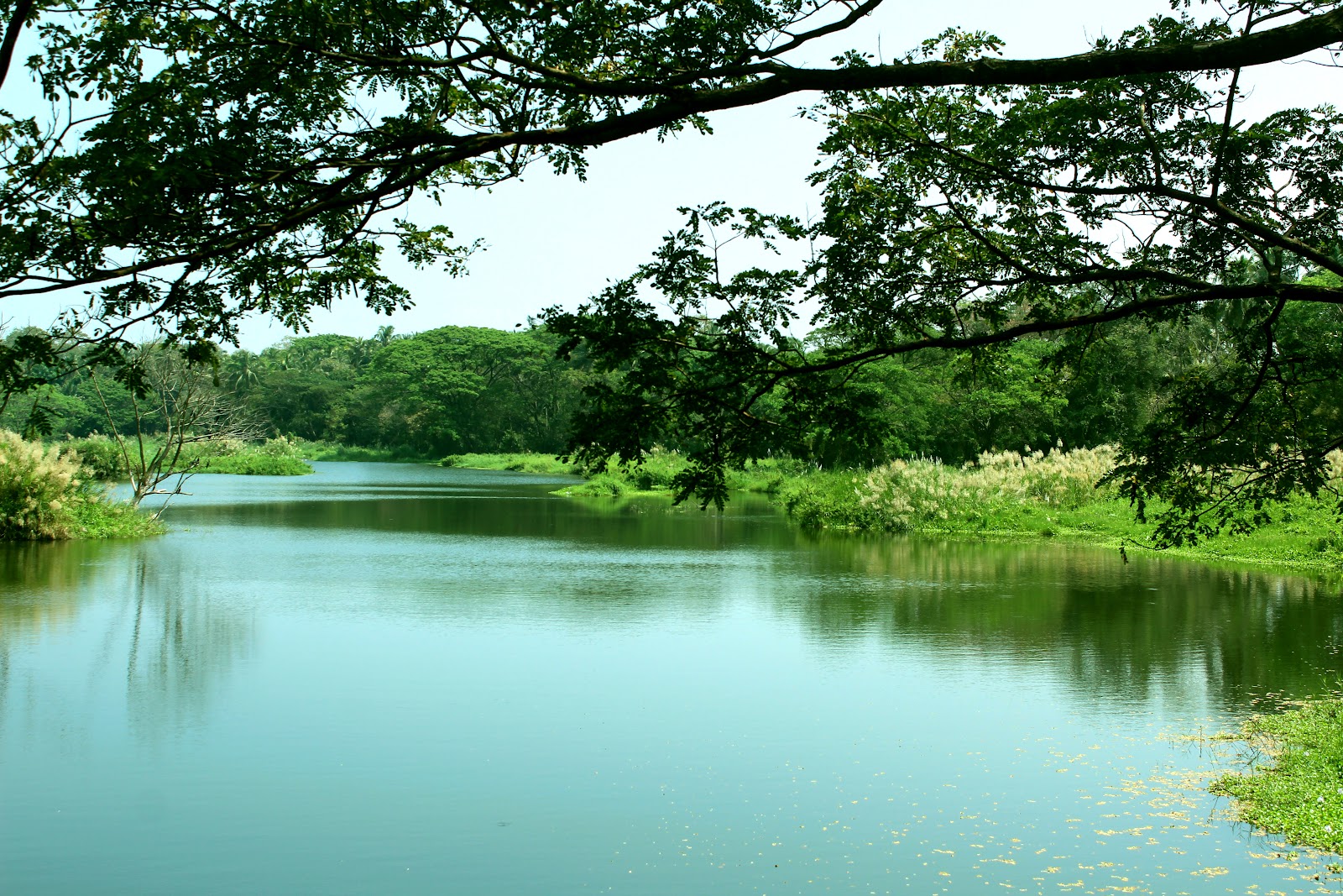 Bharathapuzha River