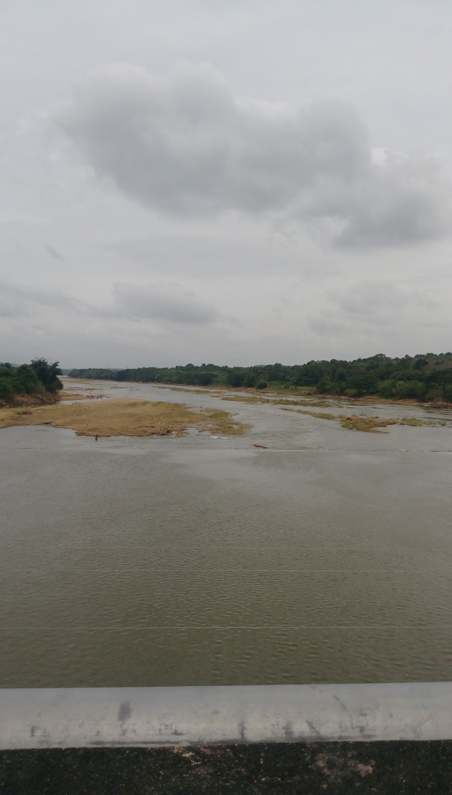 Bharathapuzha River