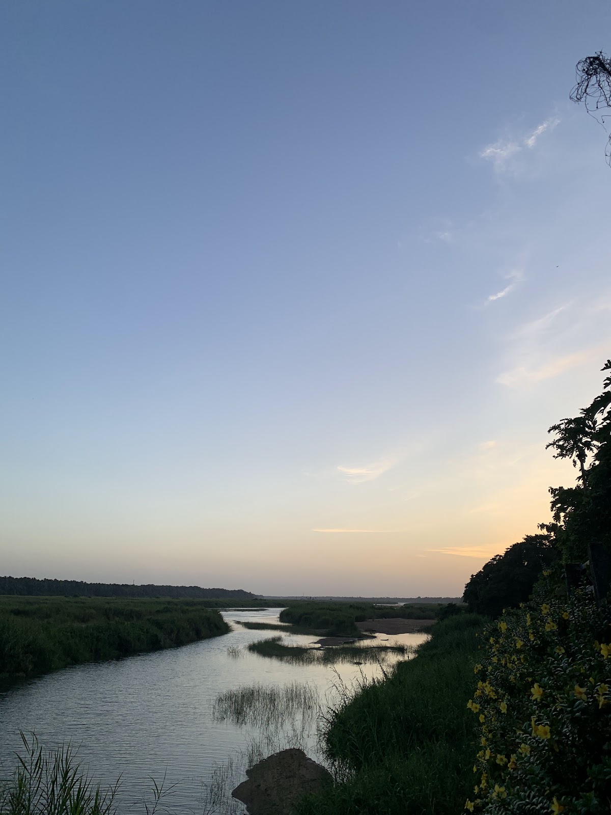 Bharathapuzha River