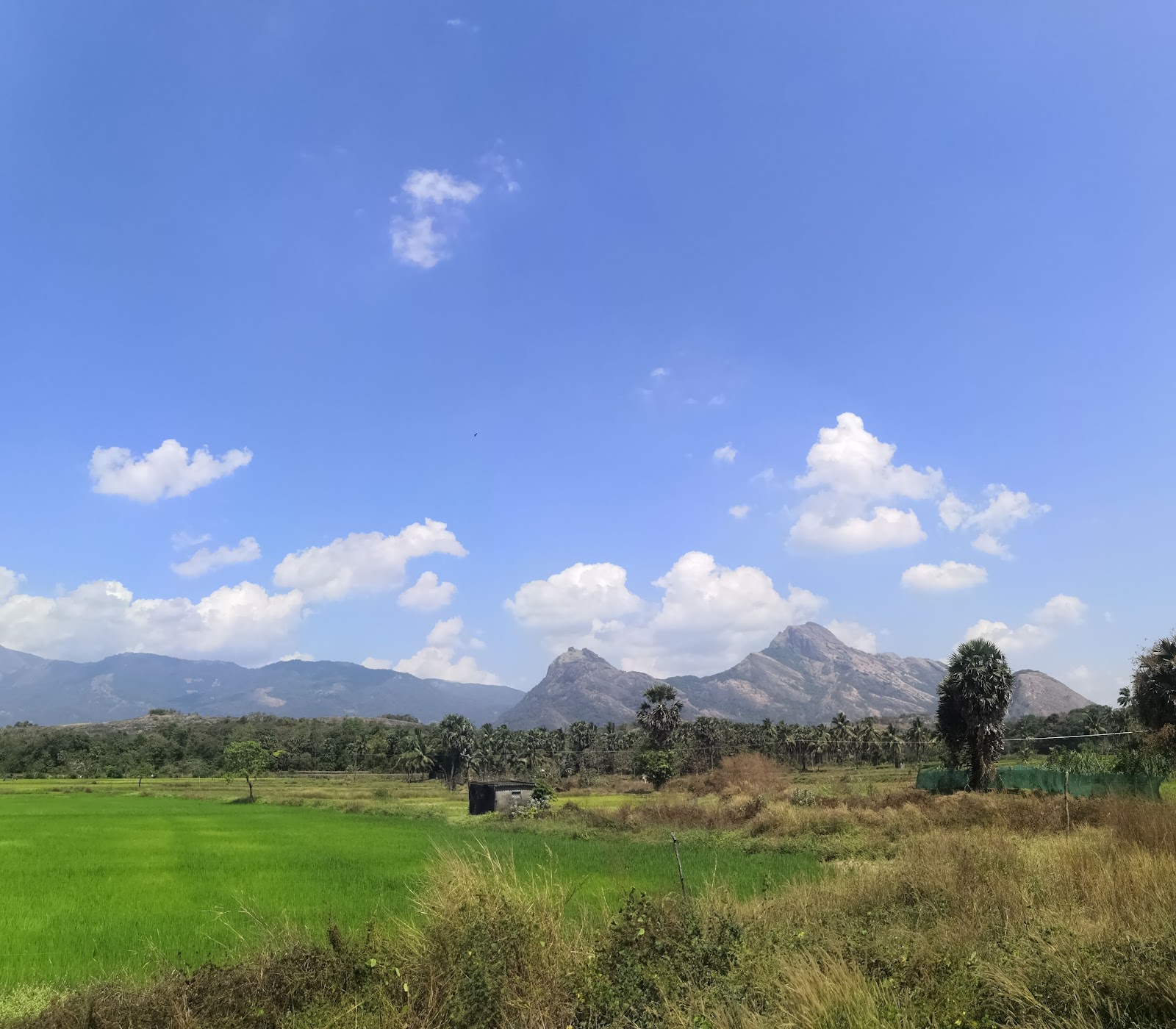 Chulliyode Waterfalls