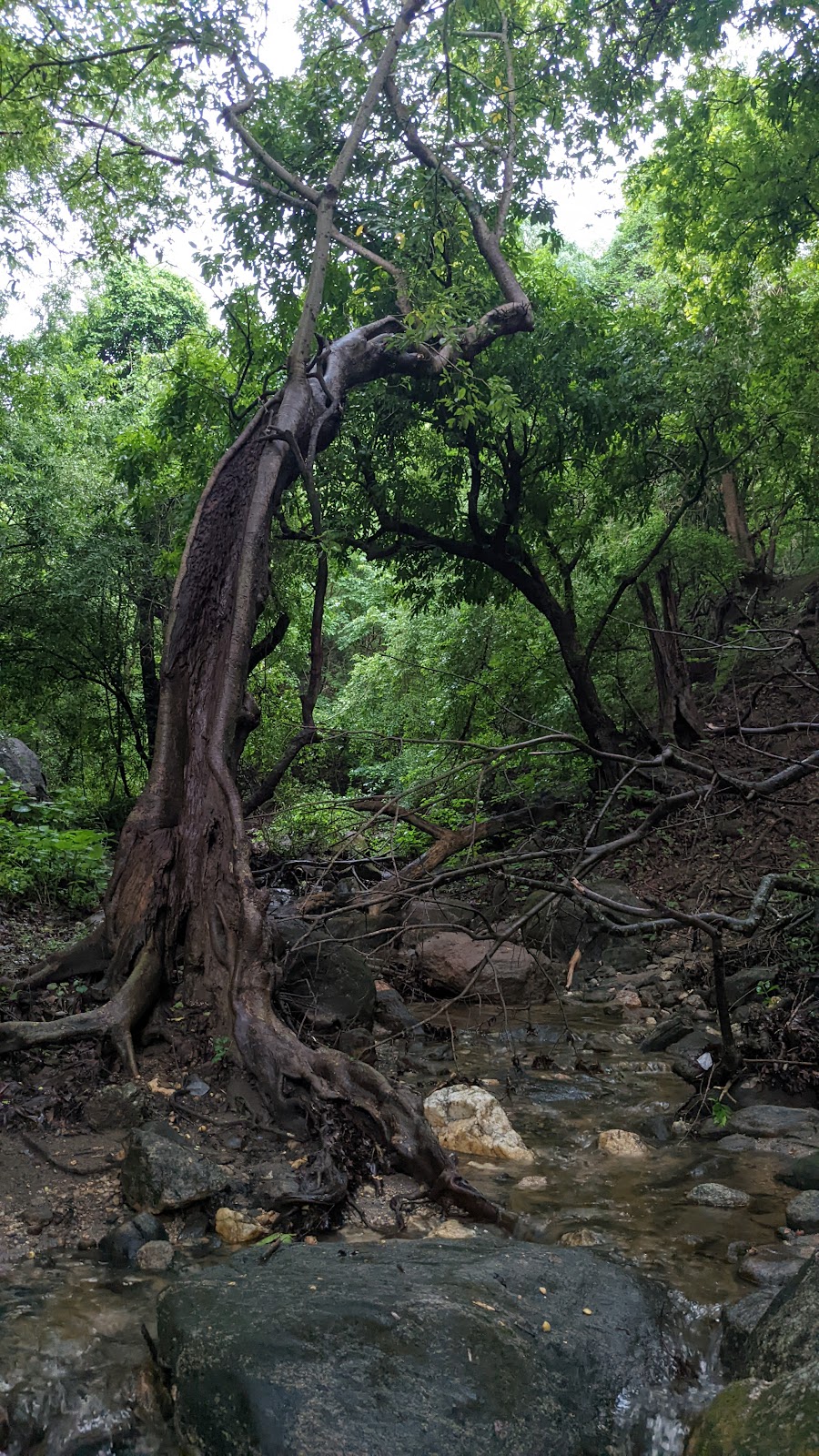 Chulliyode Waterfalls