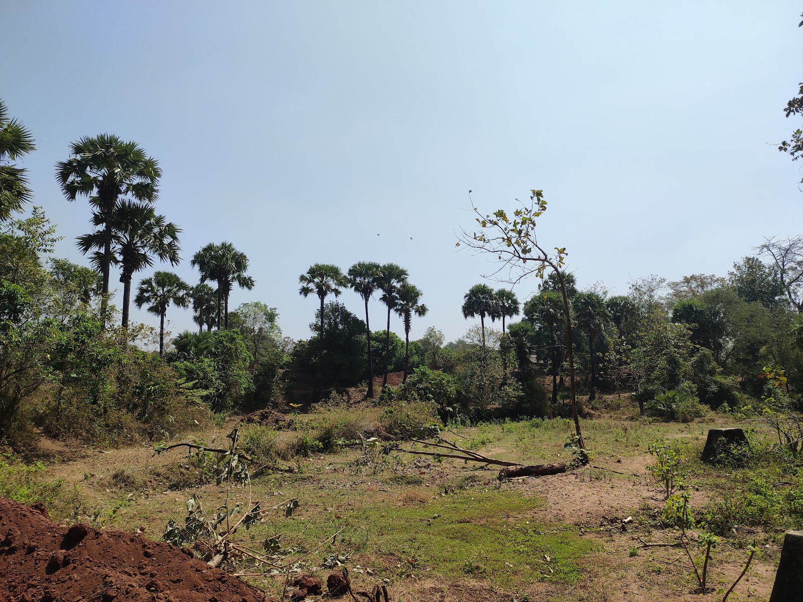 Chulliyode Waterfalls