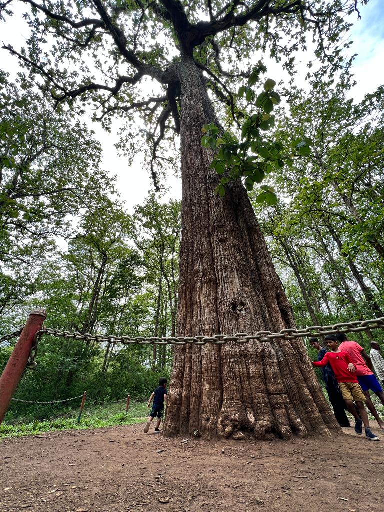 Parambikulam Tiger Reserve