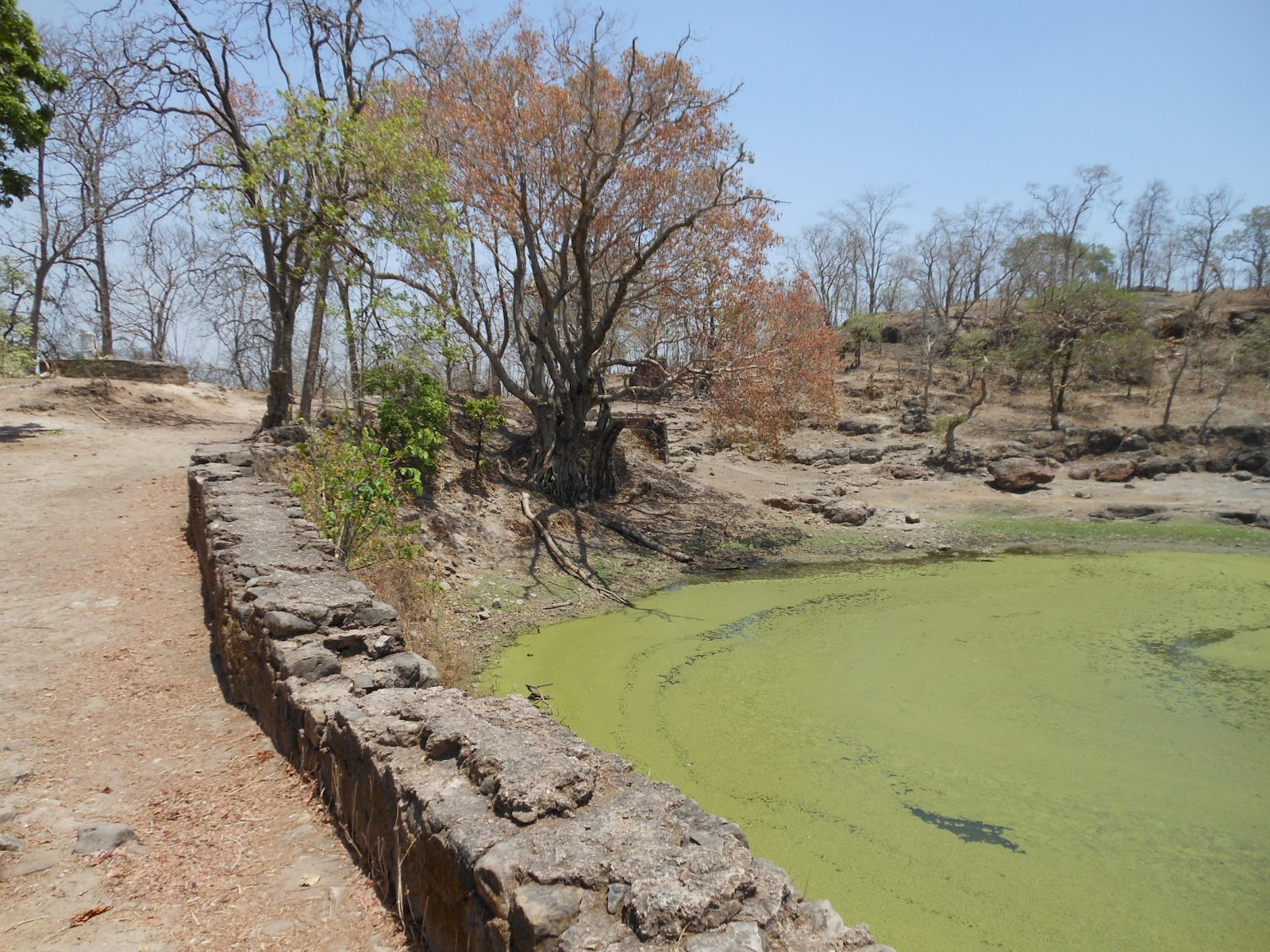 Chauragarh Fort