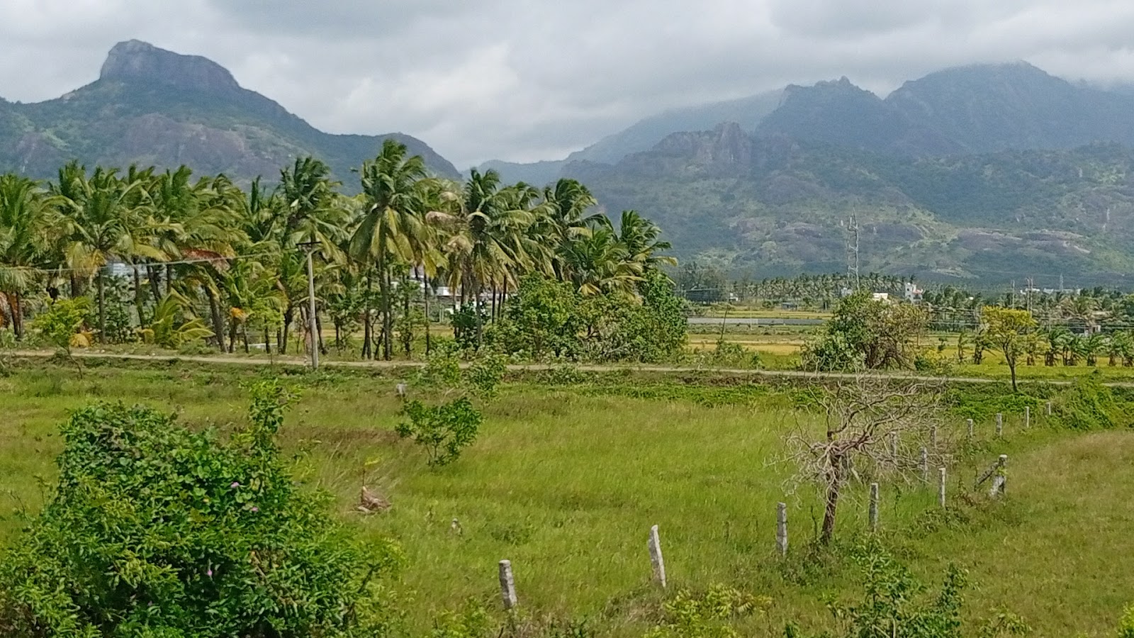 Nagercoil