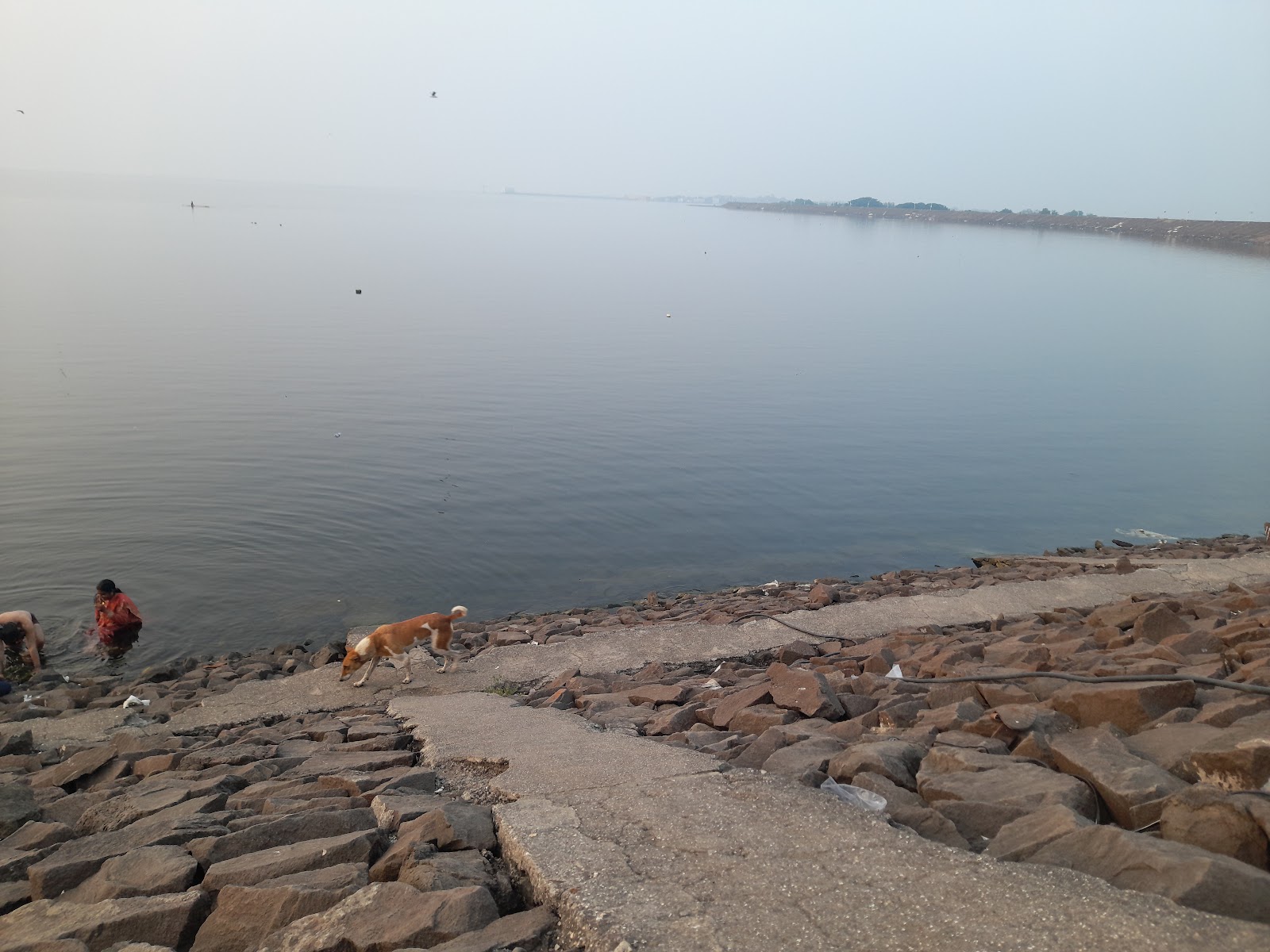 Godavari River Banks