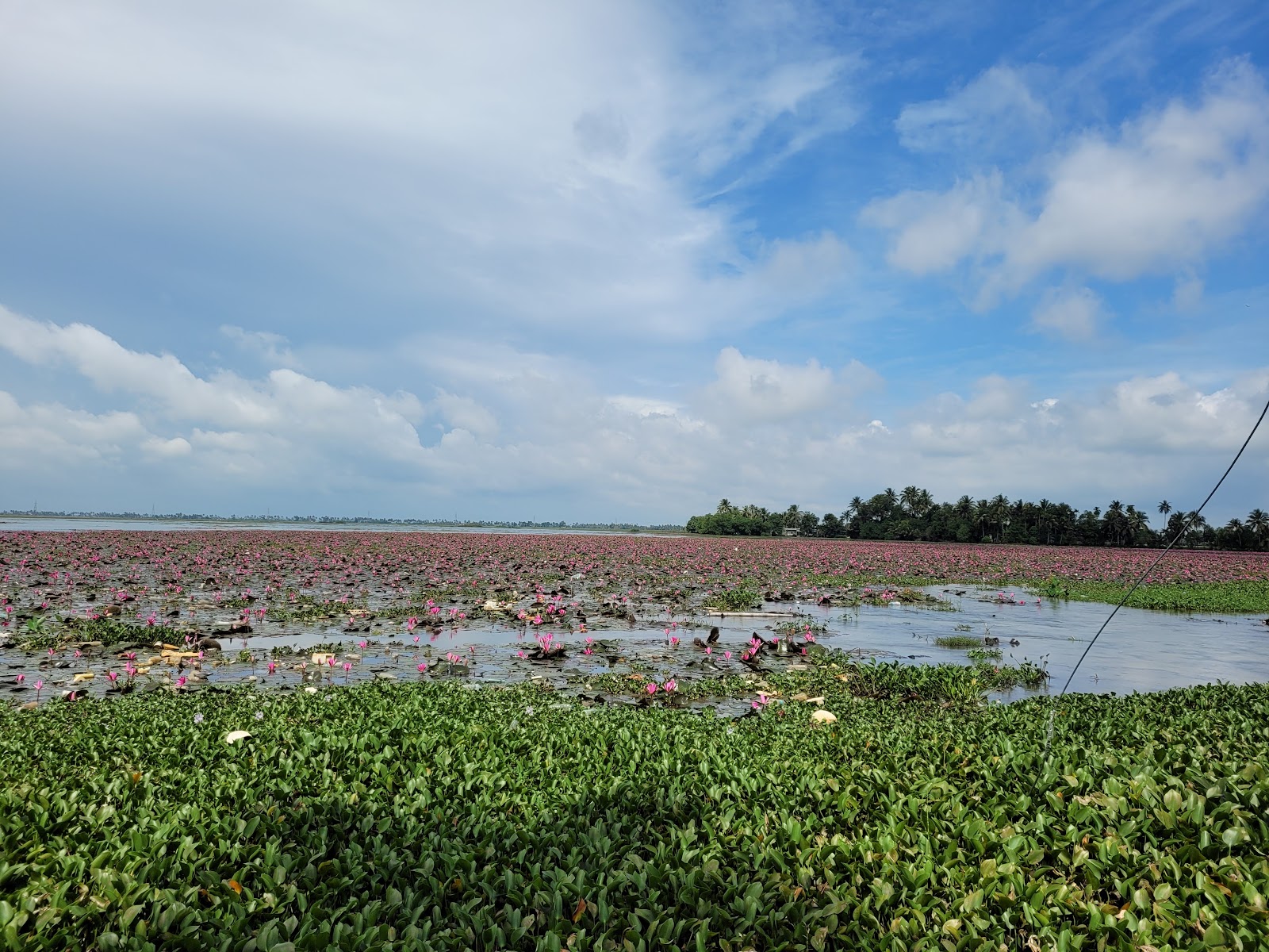 Kottayam Lake