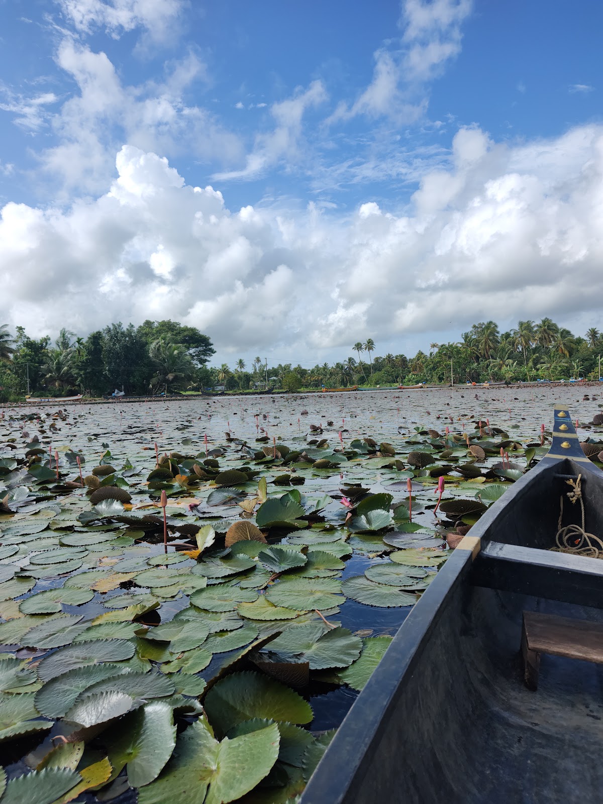 Kottayam Lake