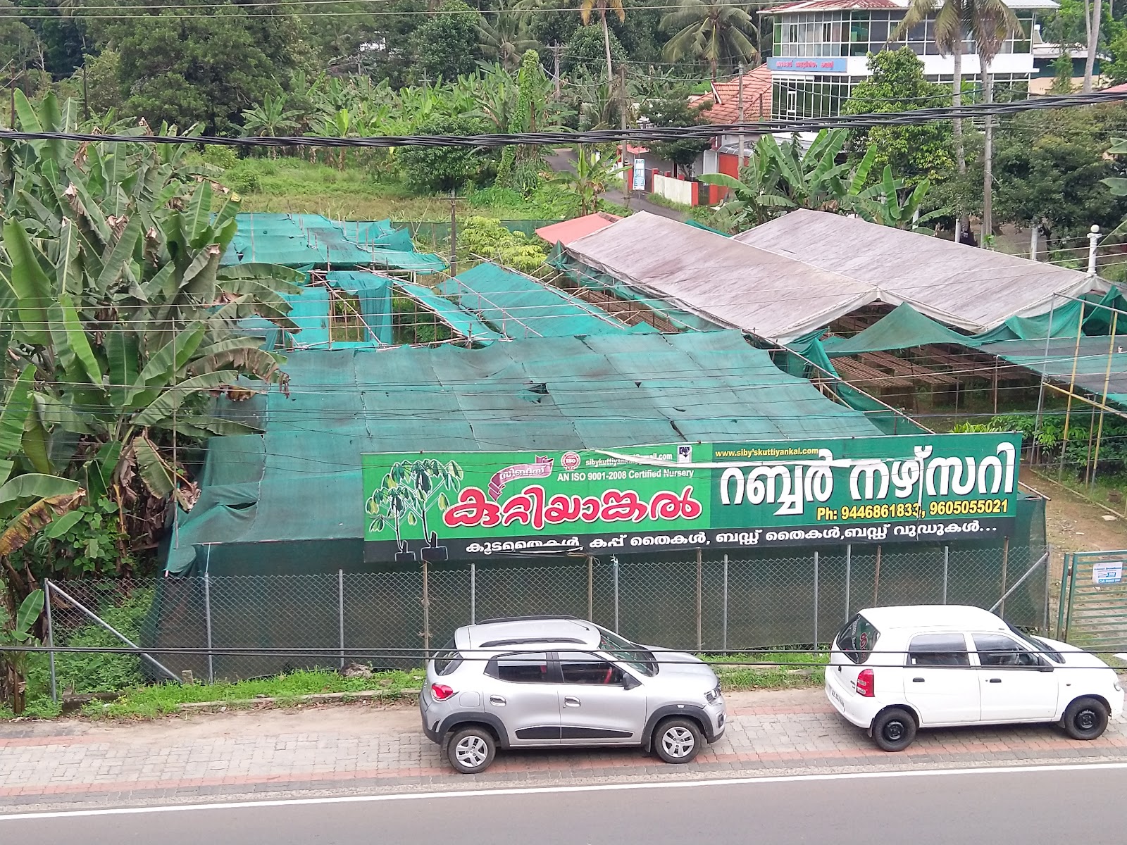 Rubber Plantation Tour