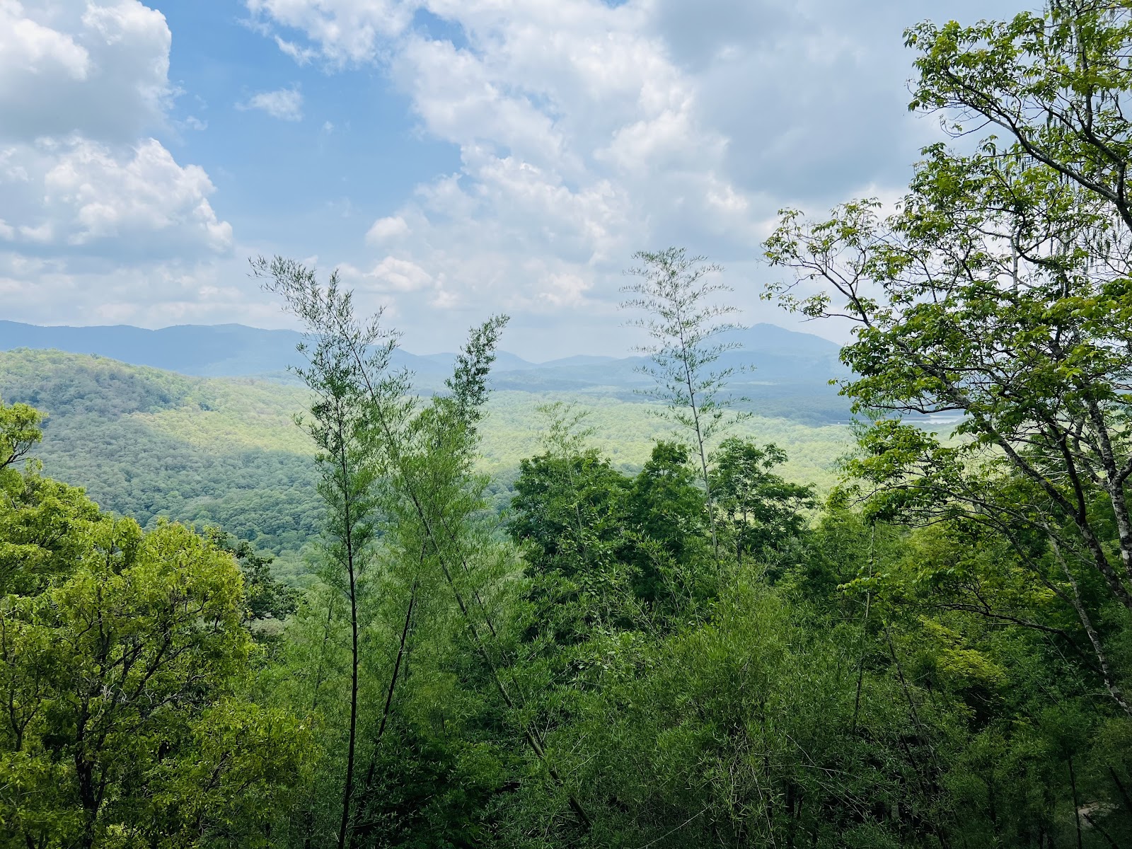 Parambikulam Tiger Reserve