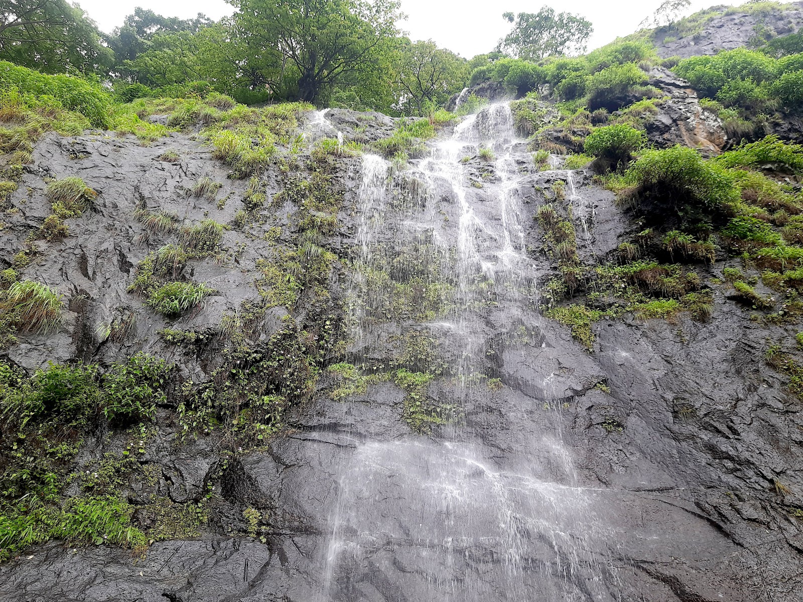 Silent Valley National Park