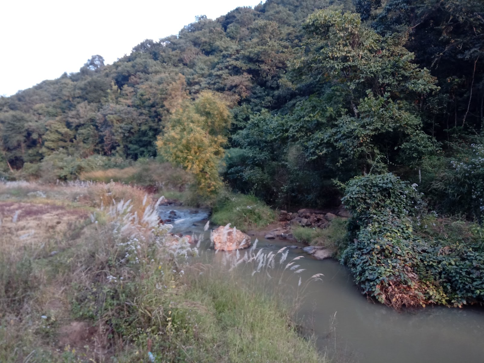 Kothapalli Waterfalls