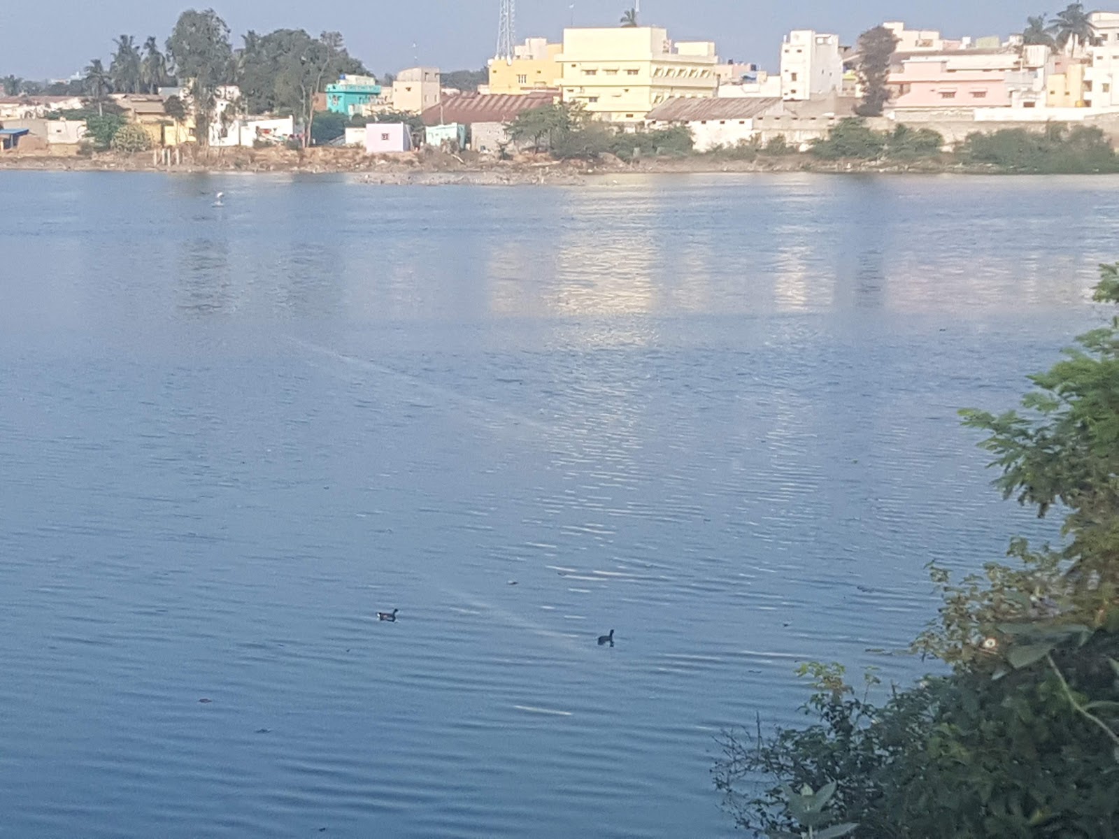 Palamaner Lake