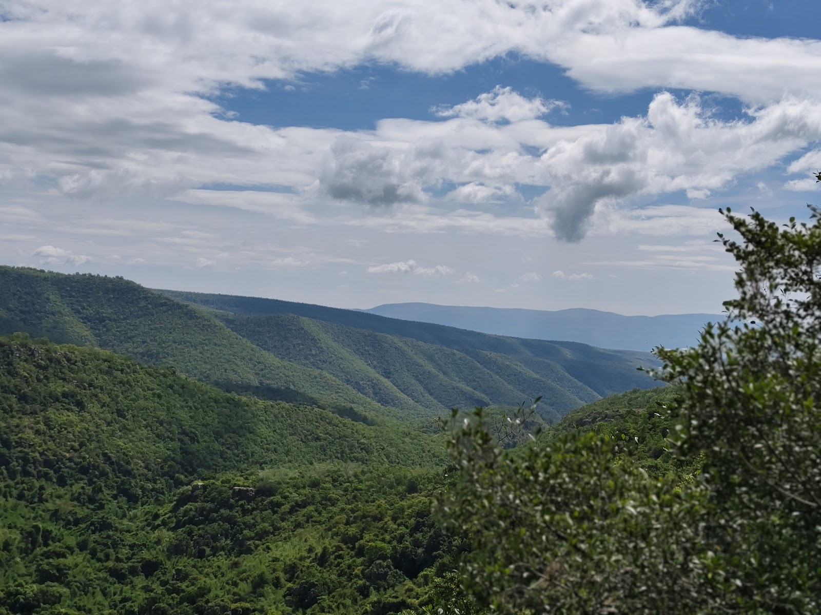 Sri Venkateswara Wildlife Sanctuary