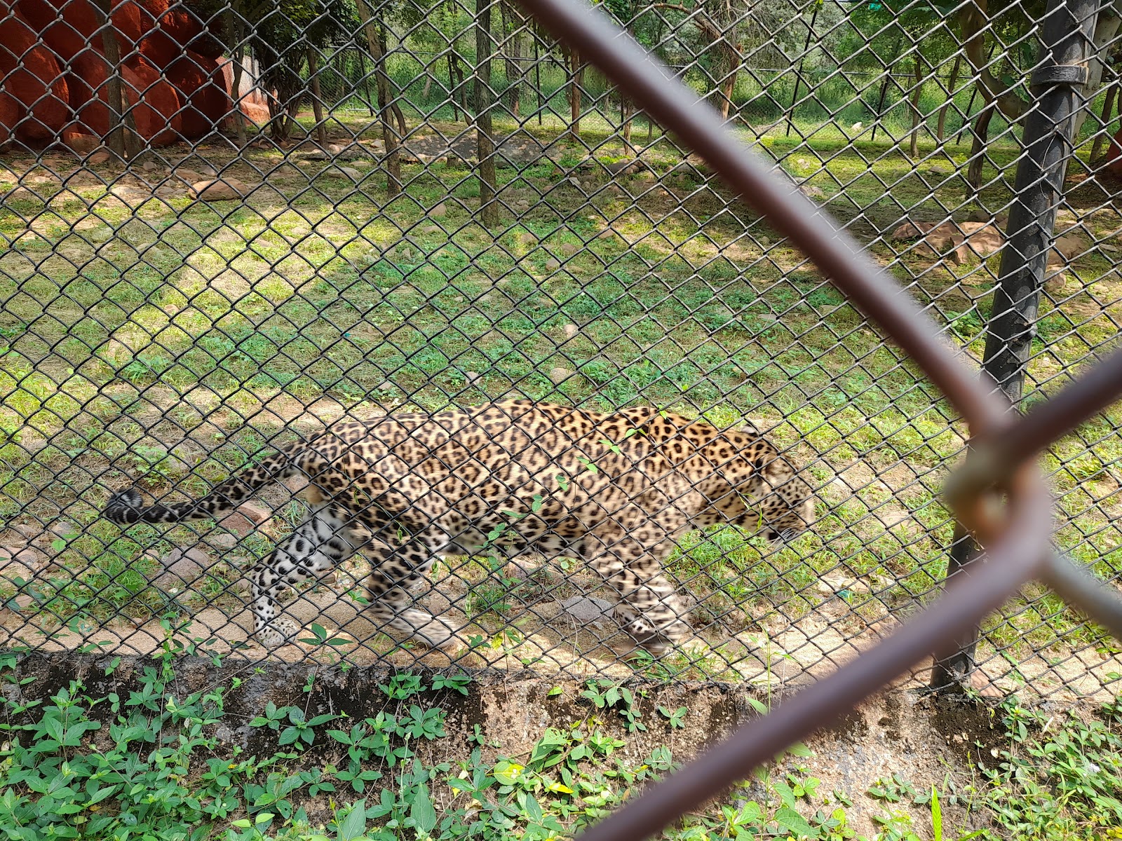 Sri Venkateswara Wildlife Sanctuary