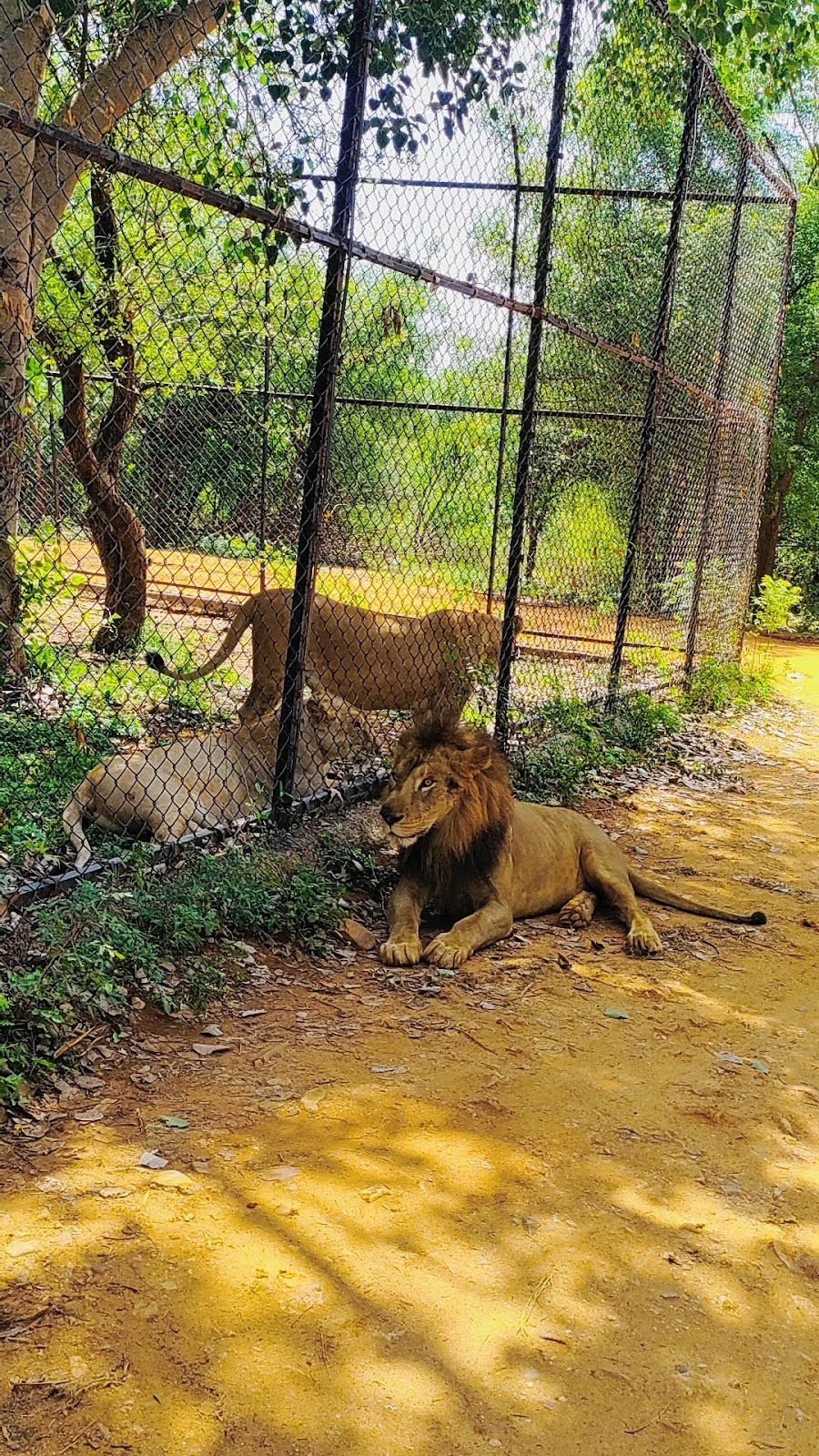 Sri Venkateswara Wildlife Sanctuary