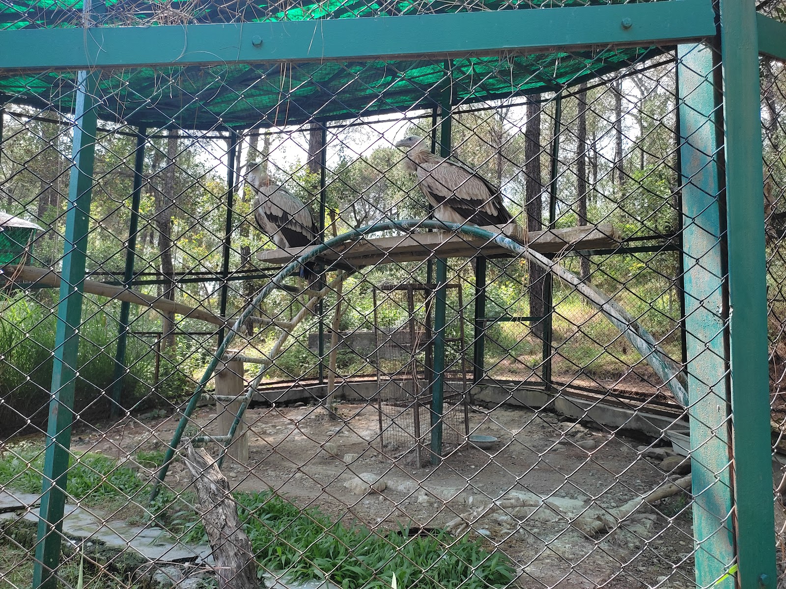 Gopalpur Zoo