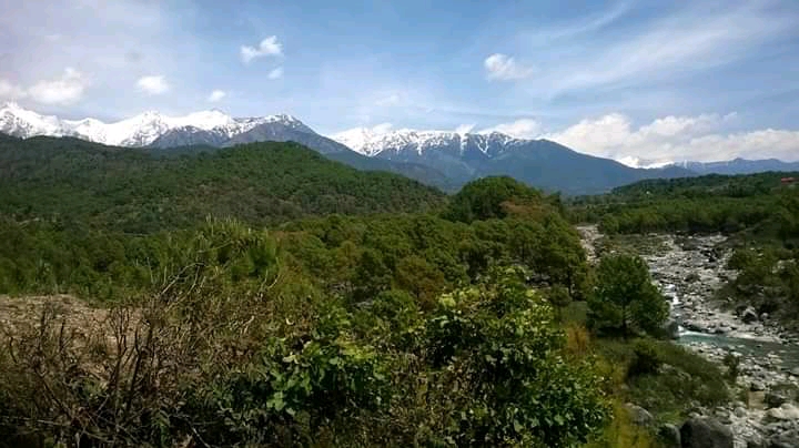 Palampur Tea Gardens