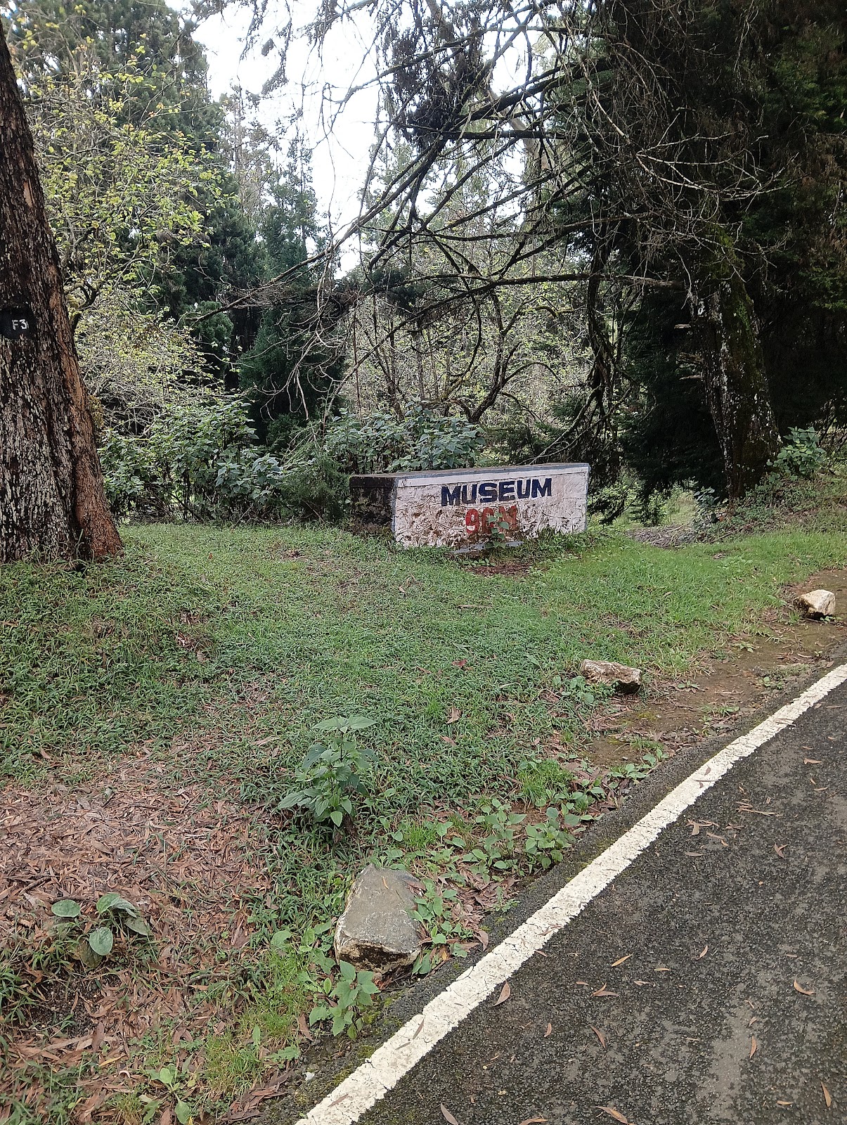 Kodaikanal Solar Observatory