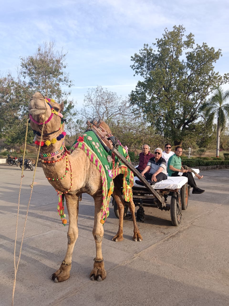 Balaram Palace Resort