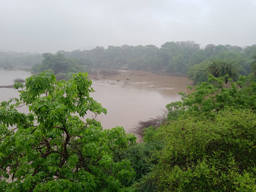 Balaram Palace Resort