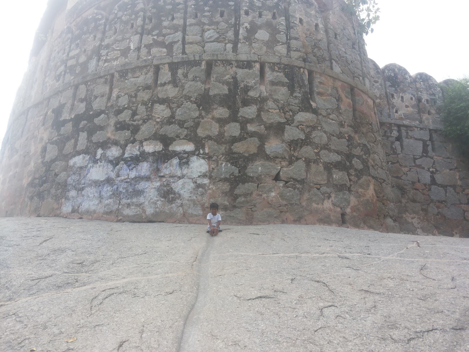 Palia Fort