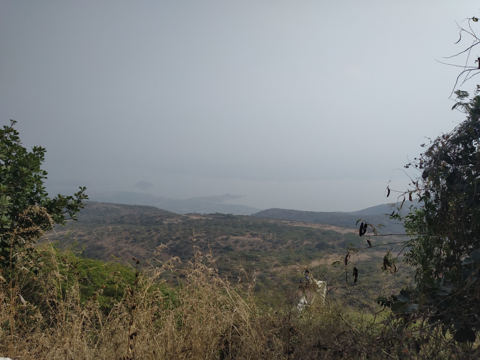 Shree Shatrunjay Temples