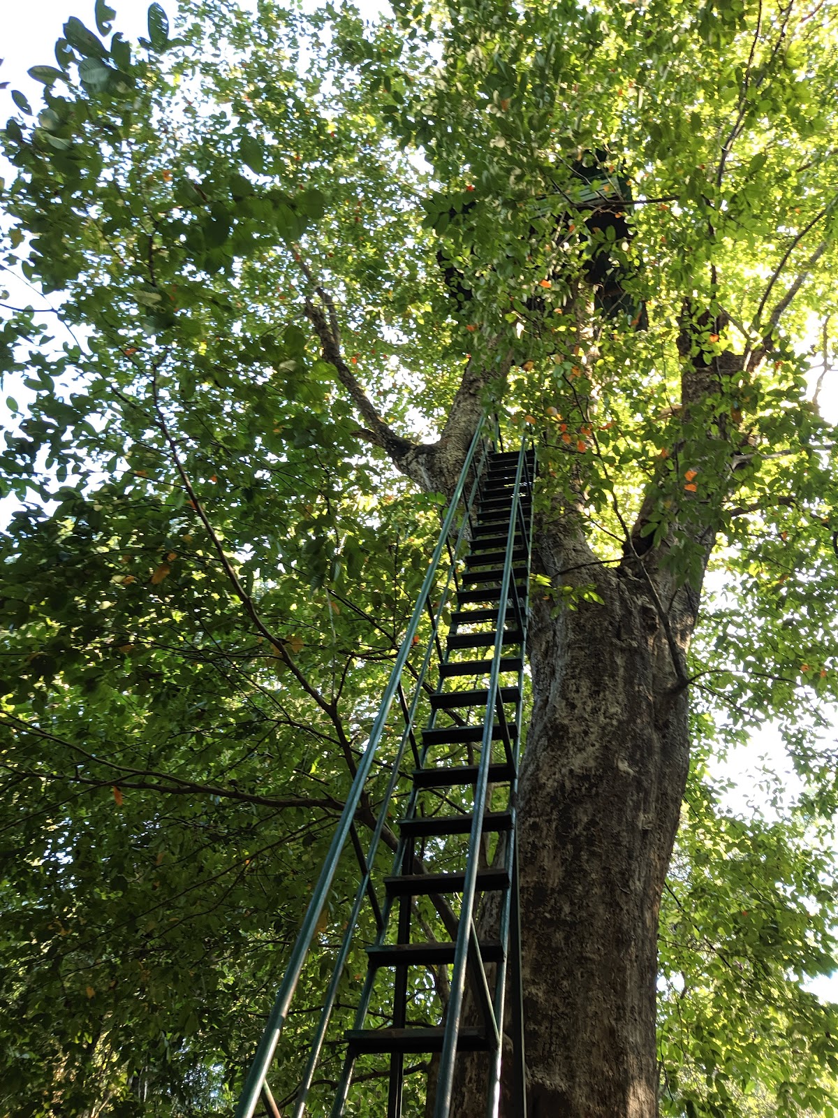 Cotigao Wildlife Sanctuary