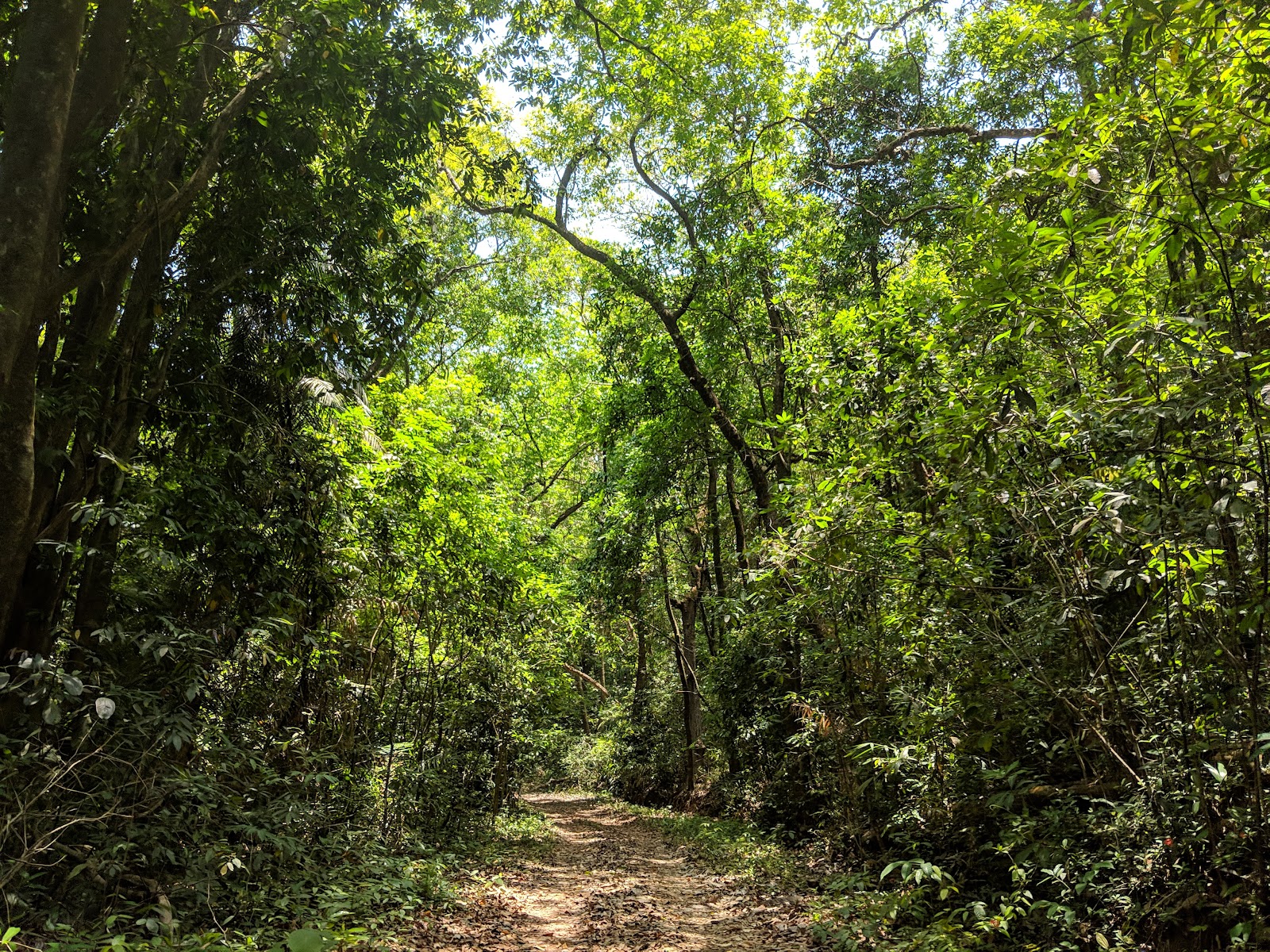 Cotigao Wildlife Sanctuary