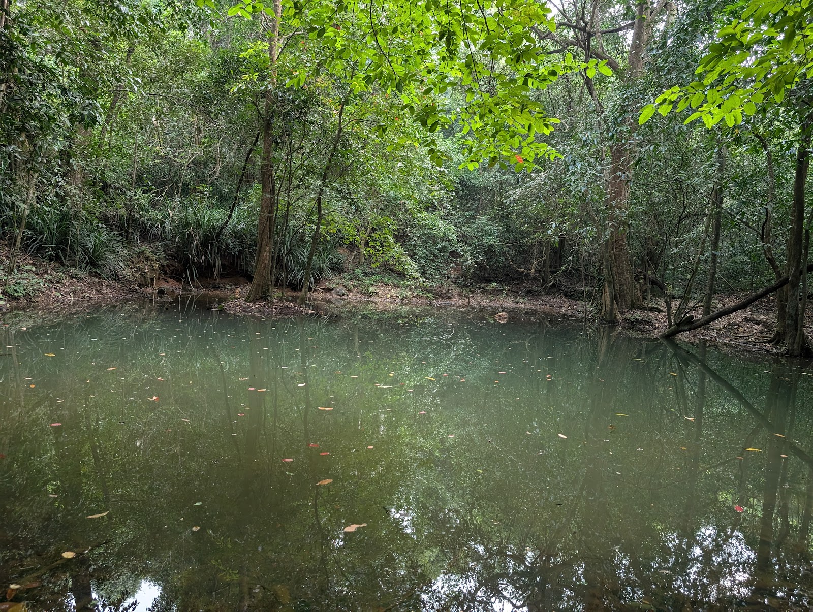 Cotigao Wildlife Sanctuary