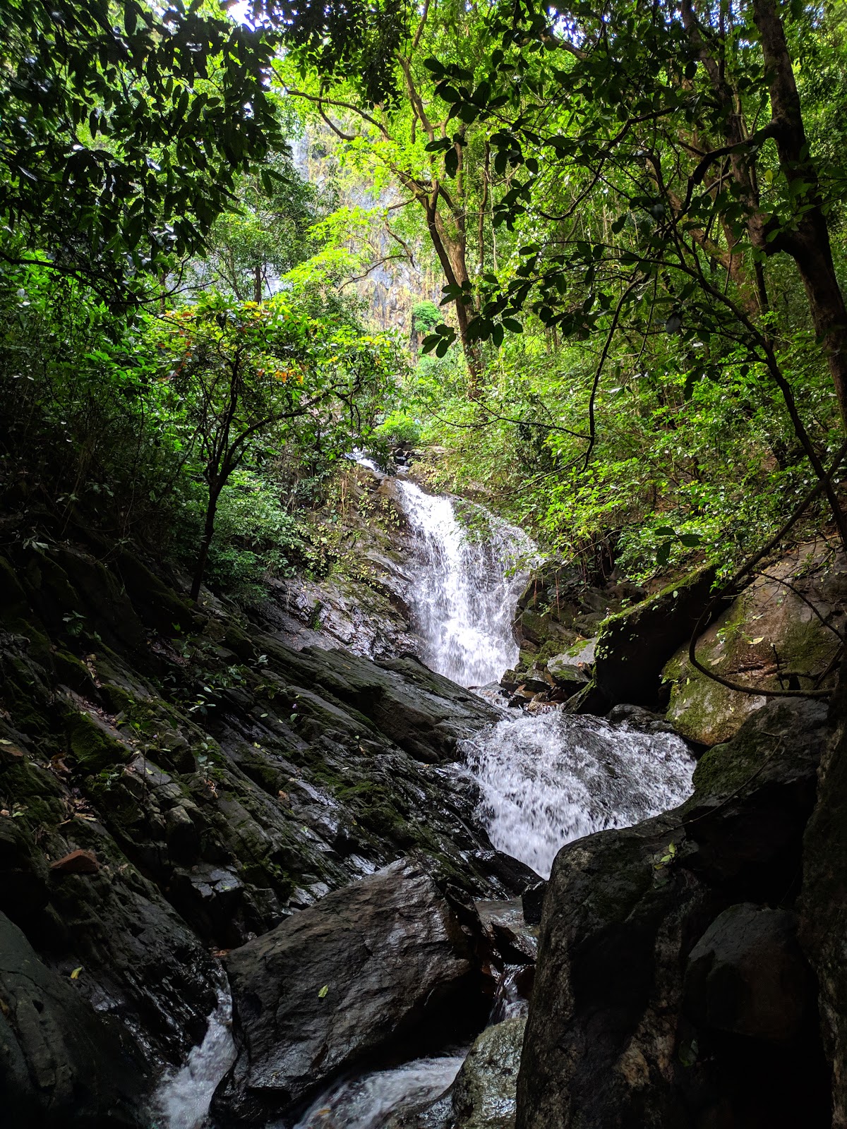 Cotigao Wildlife Sanctuary