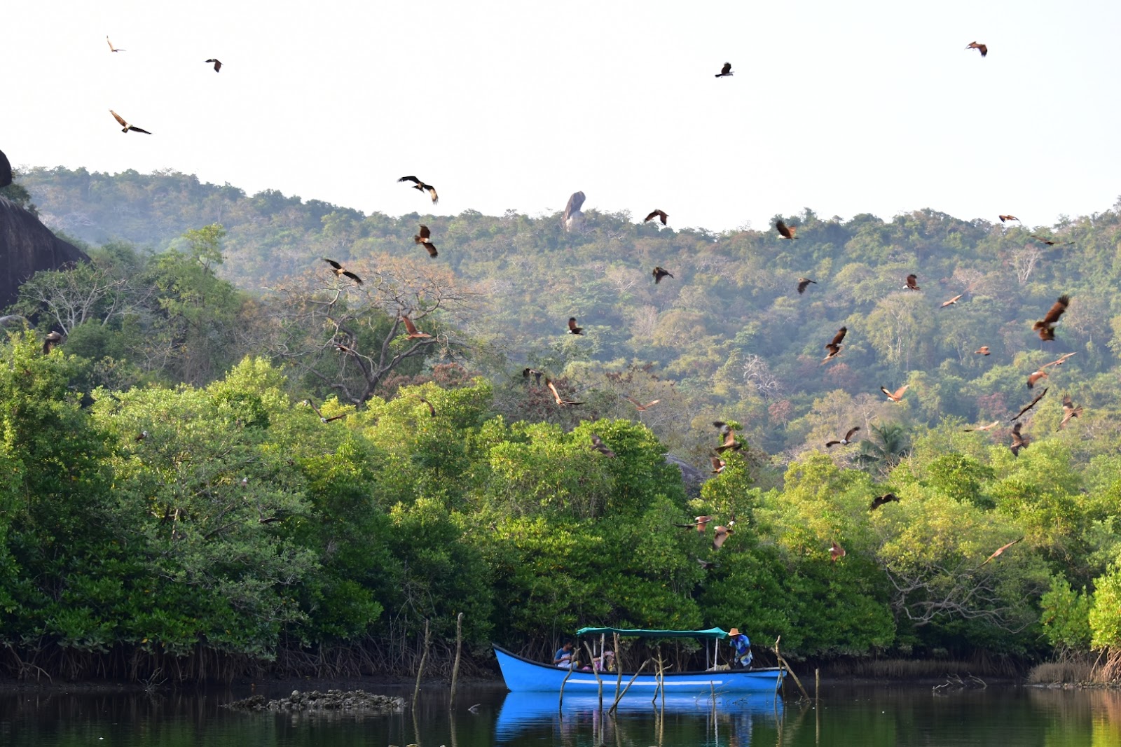 Palolem Backwaters