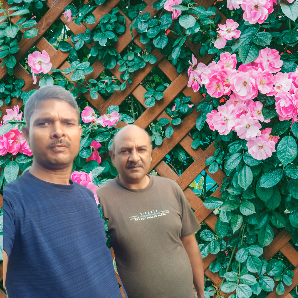 Palsana Children Park