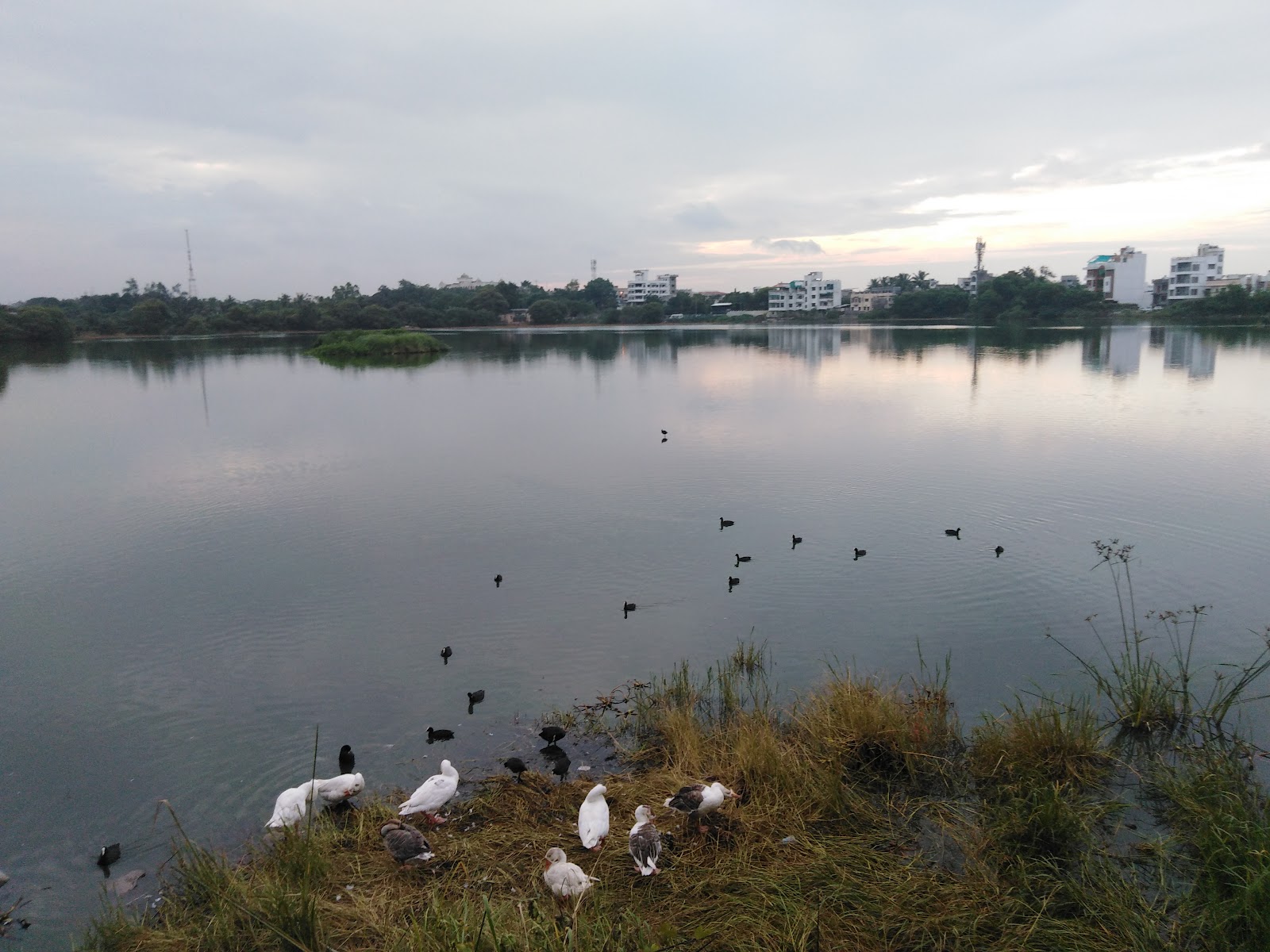 Salim Ali Lake and Bird Sanctuary