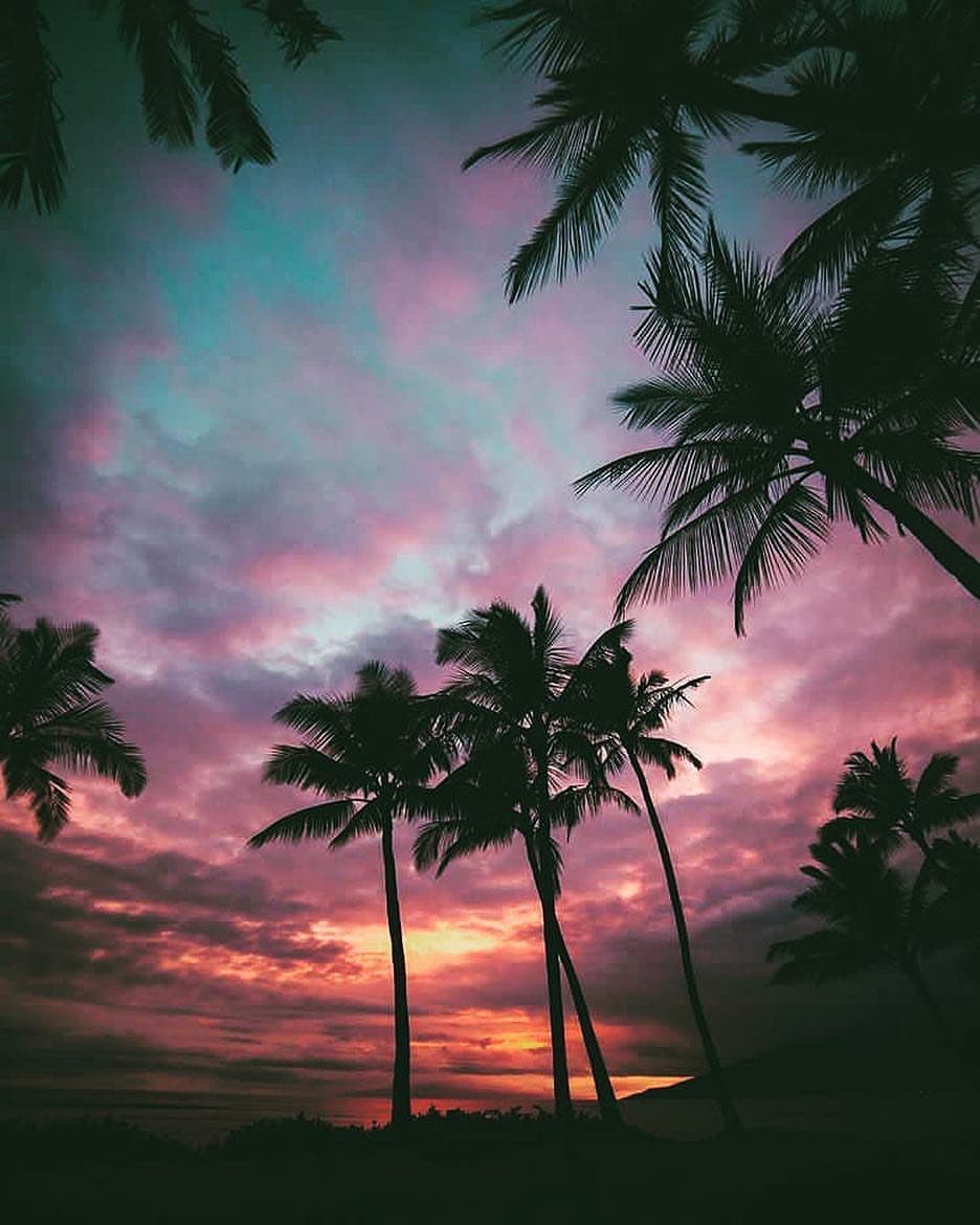 Salim Ali Lake and Bird Sanctuary