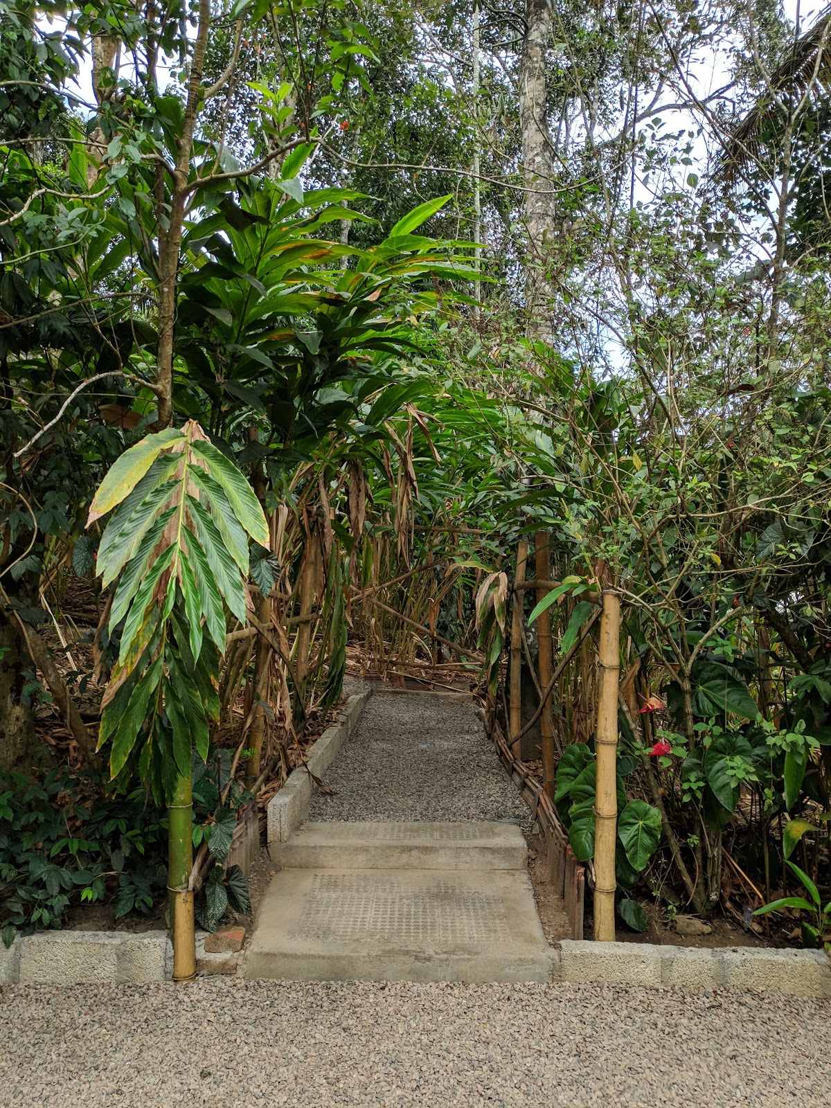 Murikady Spice Plantations