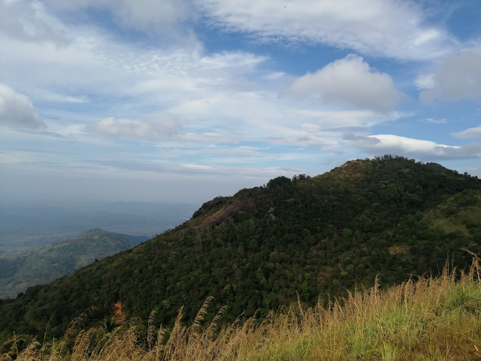 Panchalimedu Viewpoint