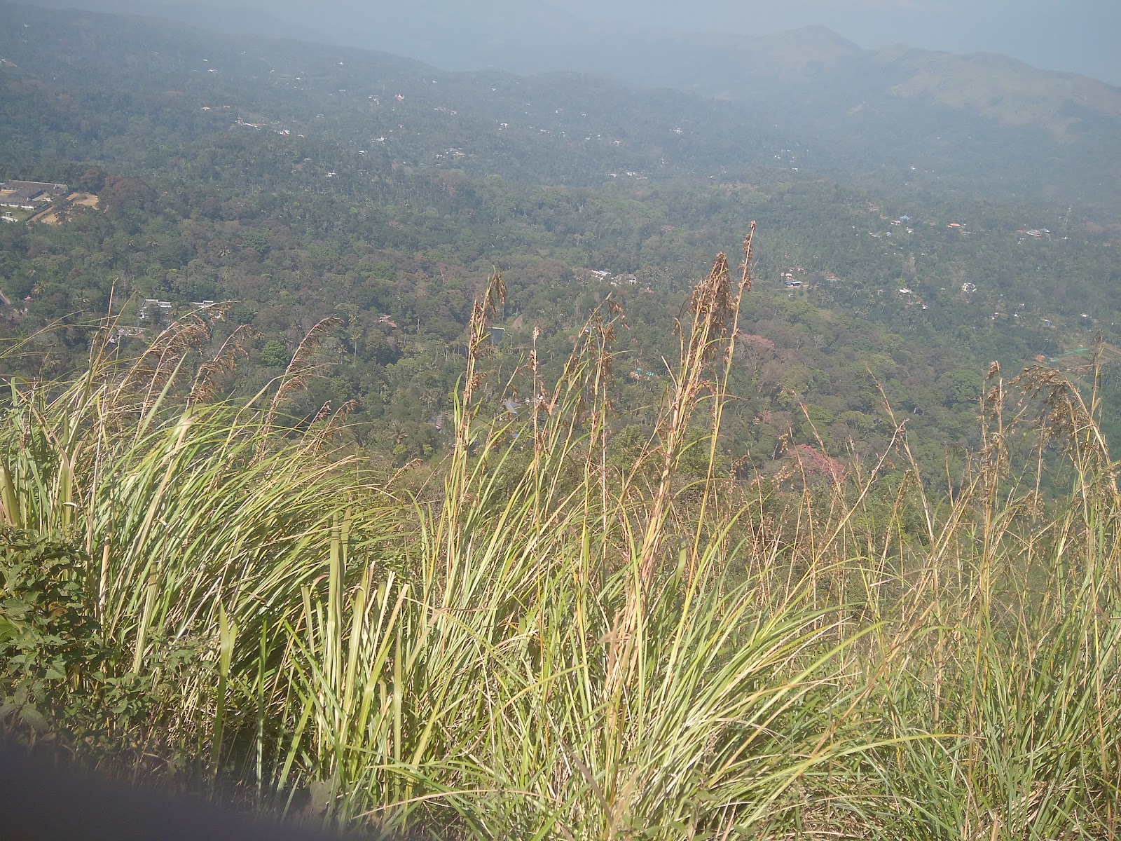 Peerumedu (Peermade)