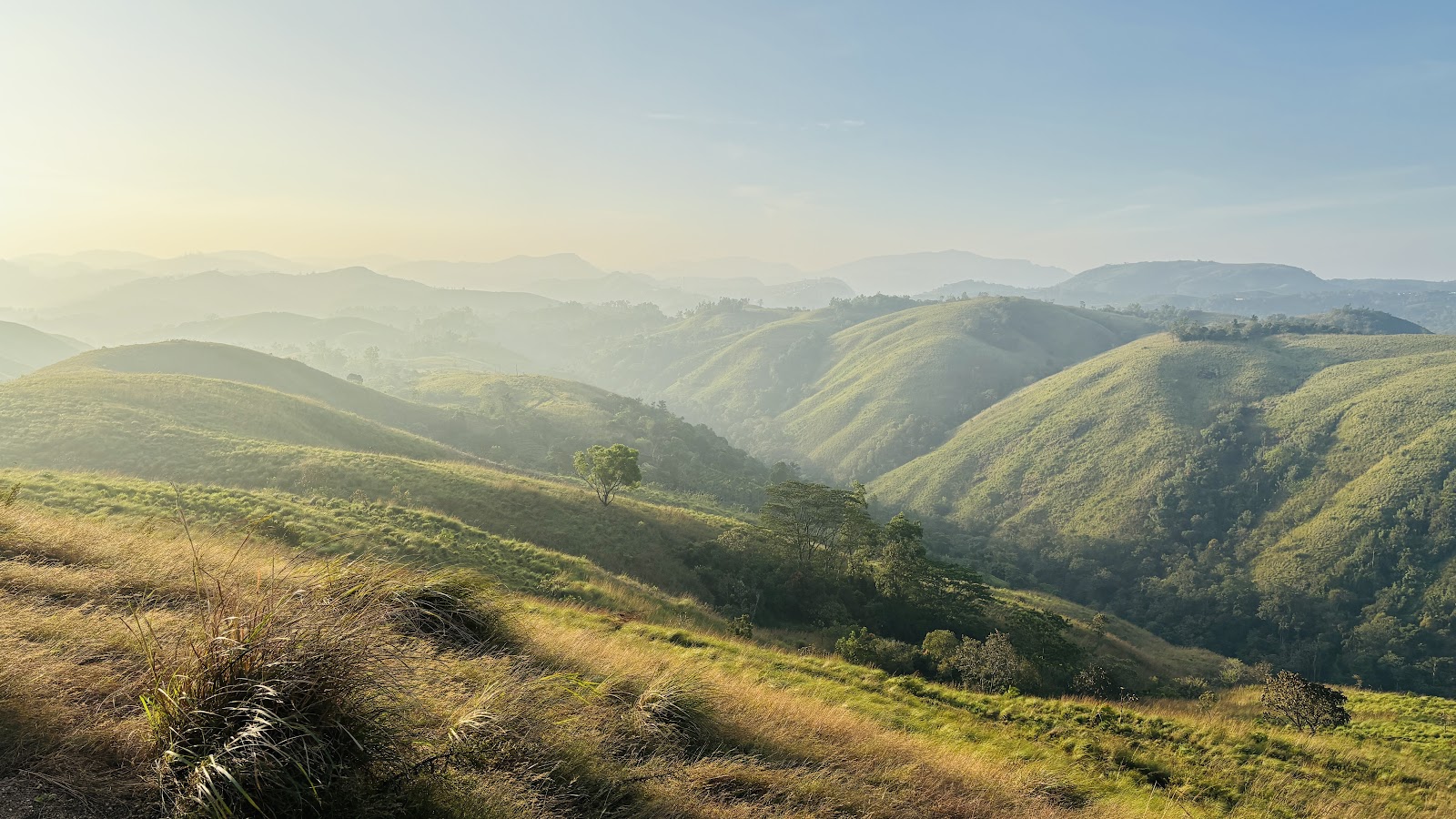 Vagamon Hill Station