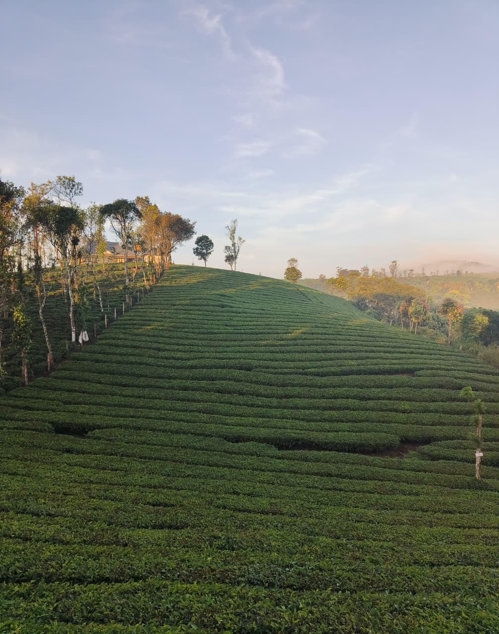 Vagamon Hill Station
